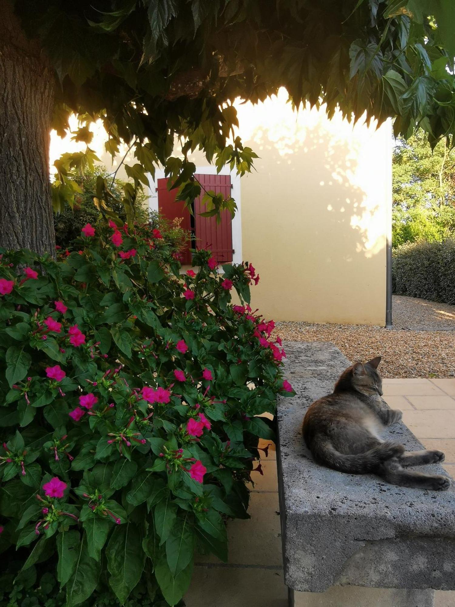 Bastide Saint Bernard Bed & Breakfast เลอ โตโรเนต์ ภายนอก รูปภาพ